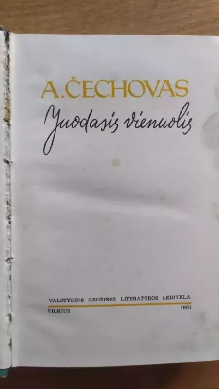 Juodasis vienuolis - Antonas Čechovas, knyga 3