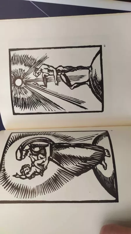 Valerijonas Galdikas - Laima Patriubavičienė, knyga 4