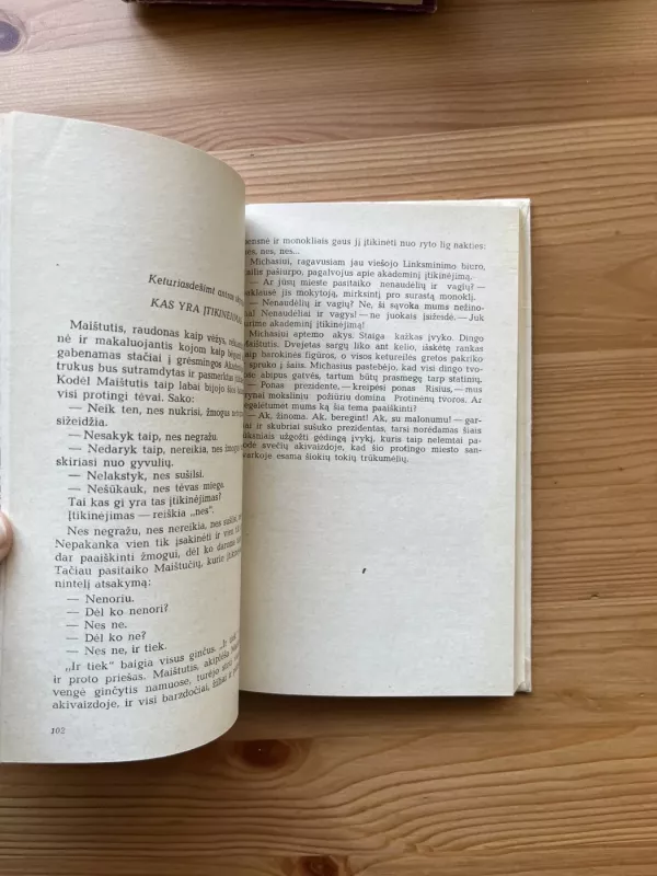 Neparyžiuje ir kitur - Ana Kamenska, knyga 4