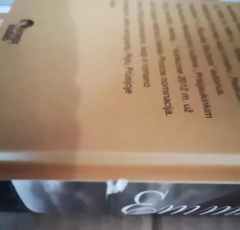 Emma, pastoriaus duktė - Rokas Flick, knyga 4