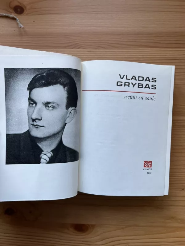 Išeinu su saule - Vladas Grybas, knyga 3