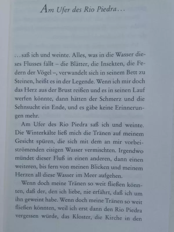 Am Ufer des Rio Piedra saß ich und weinte - Paulo Coelho, knyga 5