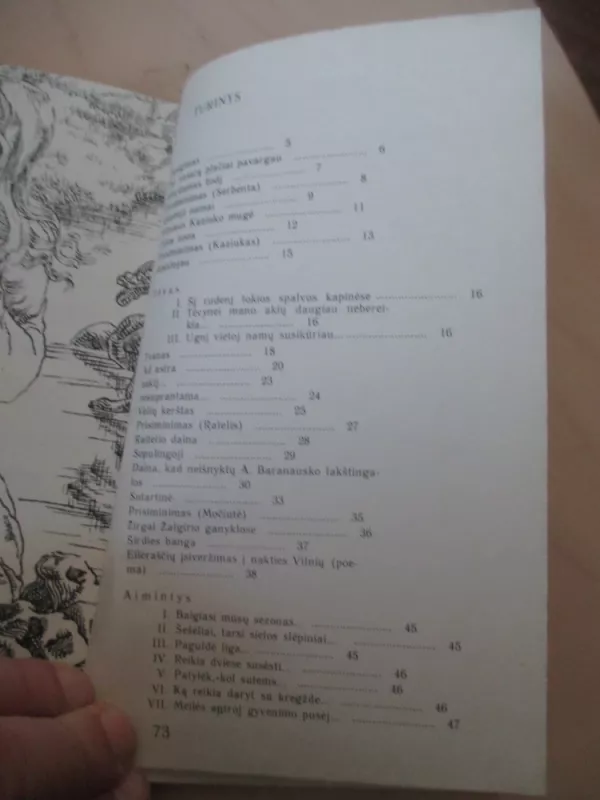 Gailile raso - Marcelijus Martinaitis, knyga 5