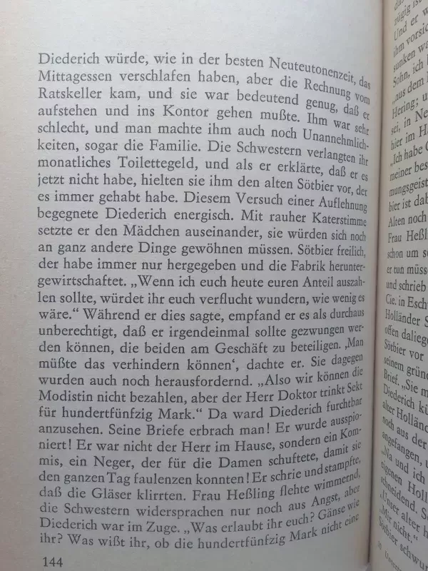 Der Untertan Reclam - Heinrich Mann, knyga 5