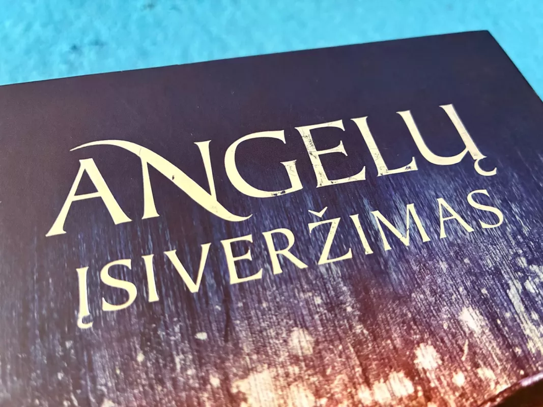 Penryn ir laikų pabaiga: [trilogija] : Angelų įsiveržimas. Pasaulis po to. Laikų pabaiga - Susan EE, knyga 6
