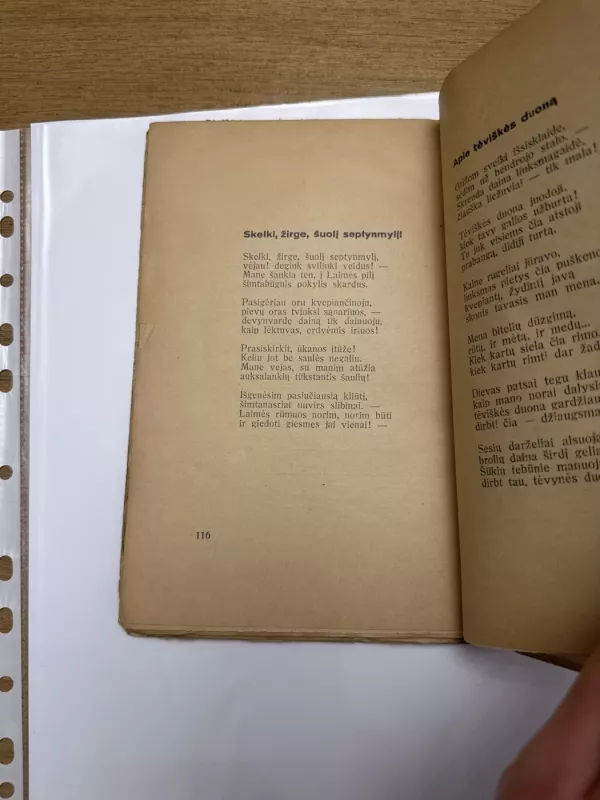 Tyliujų saulėlydžių žemė - Kazys Inčiūra, knyga 6