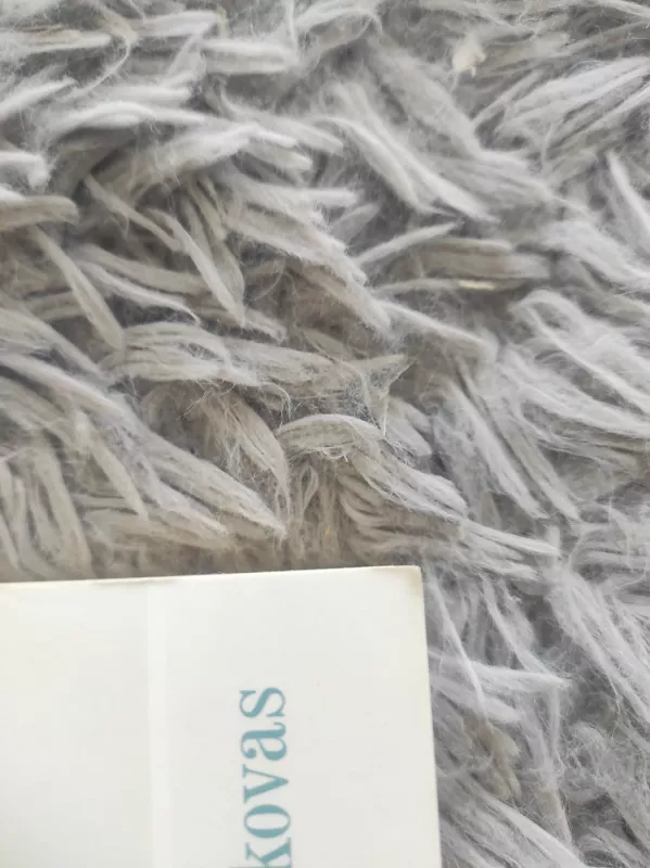 Pamilk ligą savo - Valerijus Sinelnikovas, knyga 3