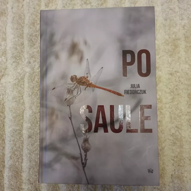 Po saule - Julia Fiedorczuk, knyga 2