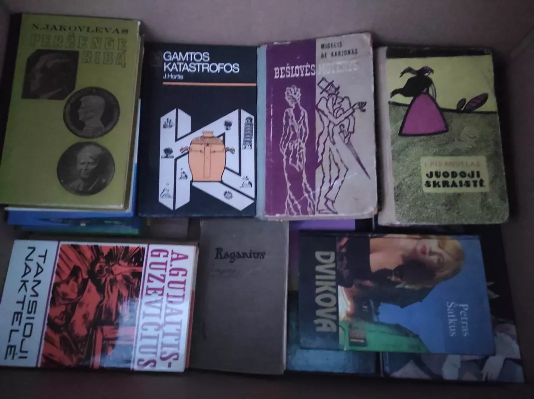 Didele dėžė lietuvių kalba knygų - Įvairūs autoriai, knyga 5