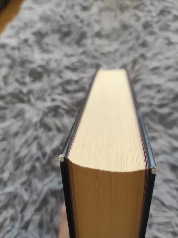 Žaidimų aikštelė - Kepler Lars, knyga 3