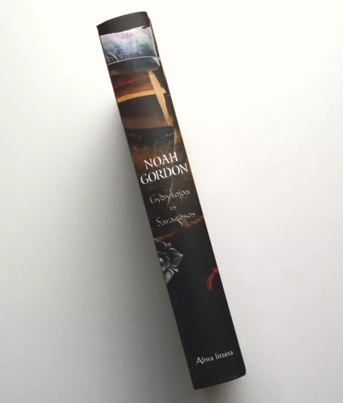 Gydytojas iš Saragosos - Gordon Noah, knyga 4