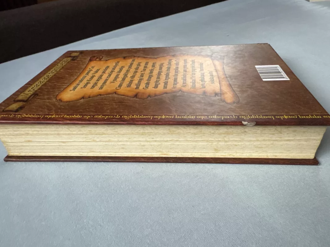 Kregždės bokštas - Andrzej Sapkowski, knyga 3