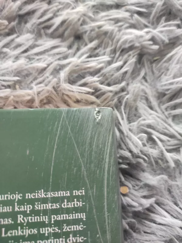 Šuniški metai - Gunter Grass, knyga 4