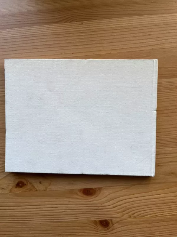 Era - Eduardas Mieželaitis, knyga 5