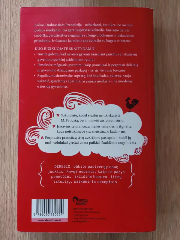 Prancūzija mon Amour - Erika Umbrasaitė, knyga 3