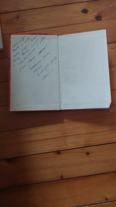 Ragelis šaukia milžiną - L. Voronkova, knyga 3