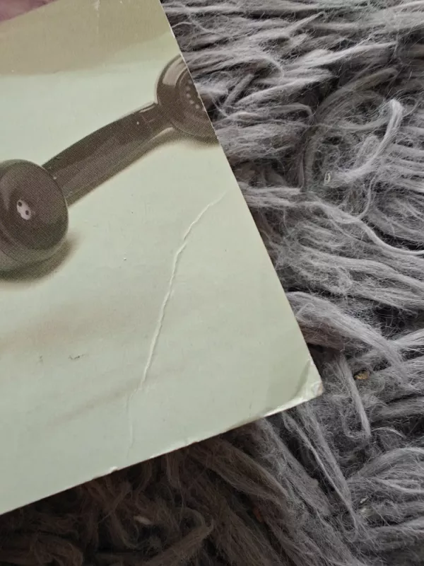 Skambutis po vidurnakcio - tess geritsen, knyga 4