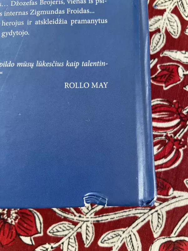 Kai Nyčė Verkė - Irvin D. Yalom, knyga 3