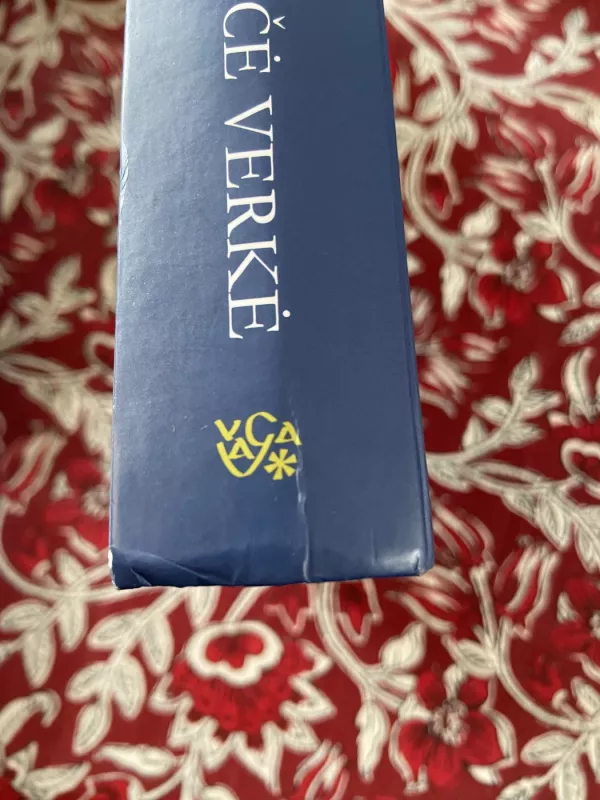 Kai Nyčė Verkė - Irvin D. Yalom, knyga 4