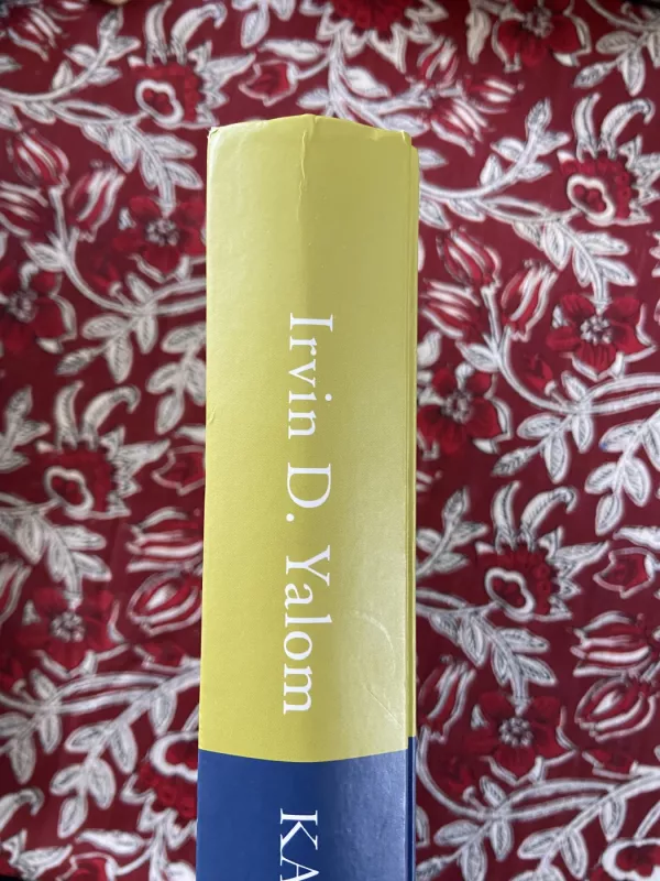 Kai Nyčė Verkė - Irvin D. Yalom, knyga 5