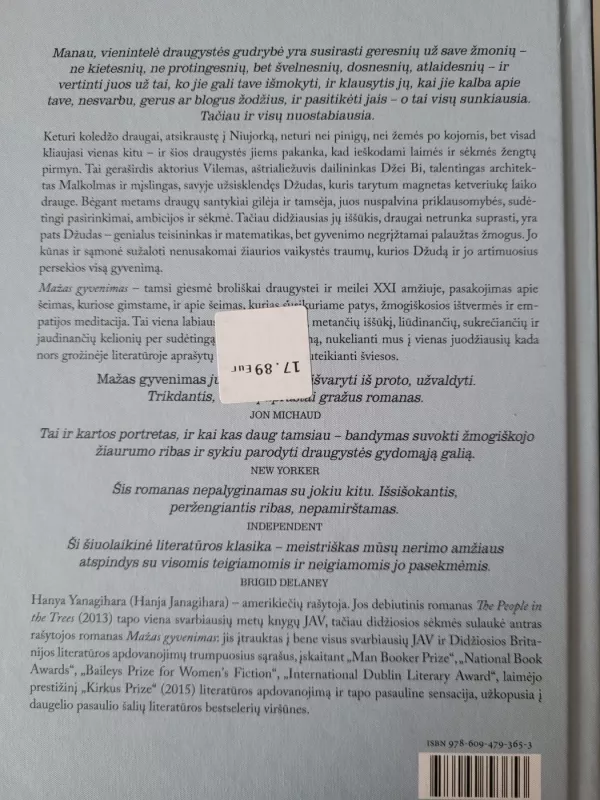 Mažas gyvenimas - Hanya Yanagihara, knyga 3
