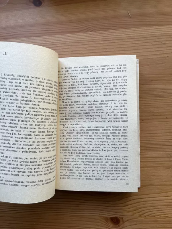 Kraštotyros muziejus - Zigfridas Lencas, knyga 4