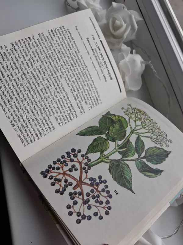 Vaistingieji augalai - Egidijus Kaunas, Vilma  Kaunienė, knyga 3