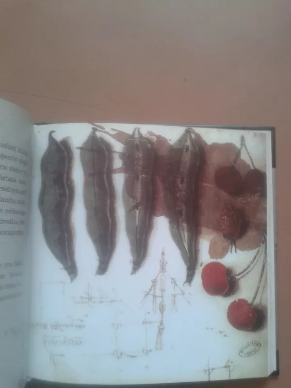 Septyni gyvenimo principai - Leonardas Da Vinčis, knyga 4