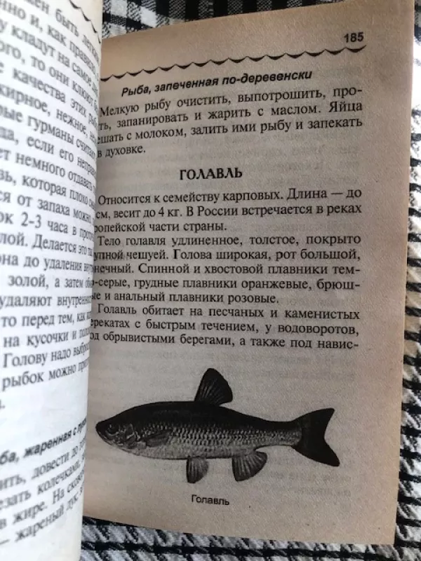 Viskas apie žvejybą (kišeninis žinynas, RUSŲ k) - Gordijenko A.J., knyga 4