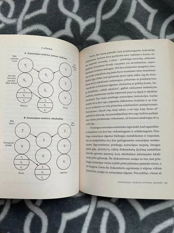 Scenarijai, kuriais gyvena žmonės - Claude Steiner, knyga 5