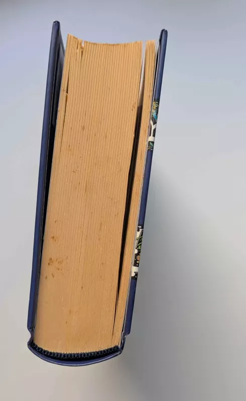 Rašalo mirtis - Cornelia Funke, knyga 3