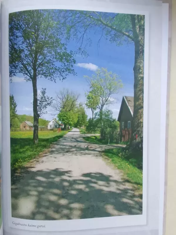 Gyvenimus jungianti upė - Elena rutkauskaitė, knyga 6