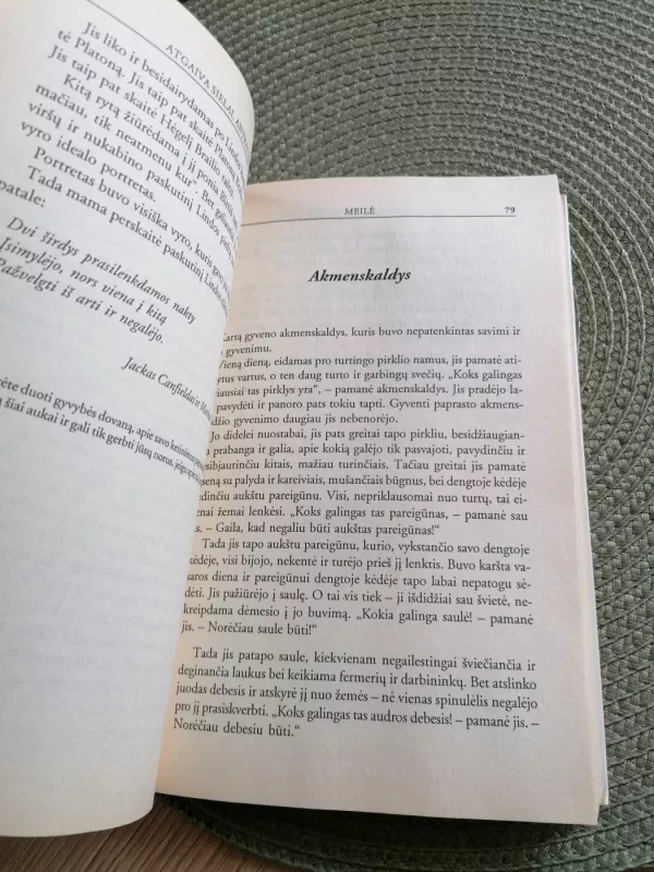 Atgaiva sielai, antras žingsnis - Jack Canfield, Mark Viktor  Hansen, knyga 6