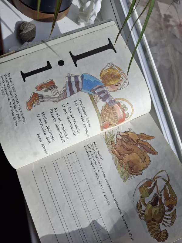 Sveikos raidės - Angelė Šiaurienė, knyga 3