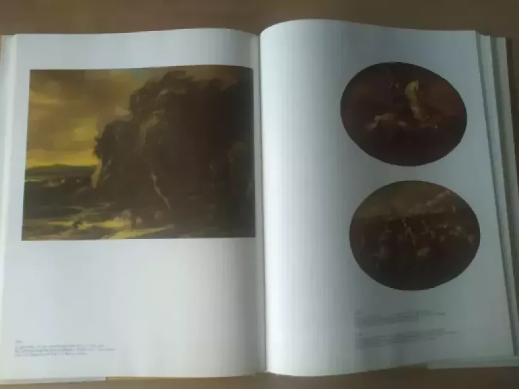 Vakarų Europos tapyba - Autorių Kolektyvas, knyga 6