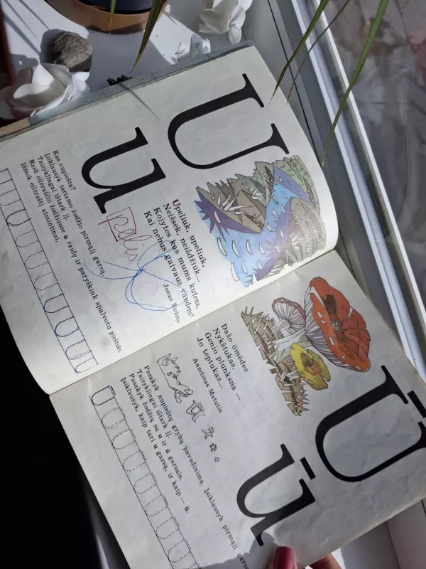 Sveikos raidės - Angelė Šiaurienė, knyga 6