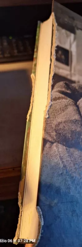 Žalia tyla: memuarai - Augustinas Savickas, knyga 3