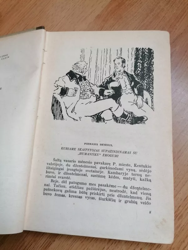 Dėdės Tomo trobelė - H. Bičer-Stou, knyga 4