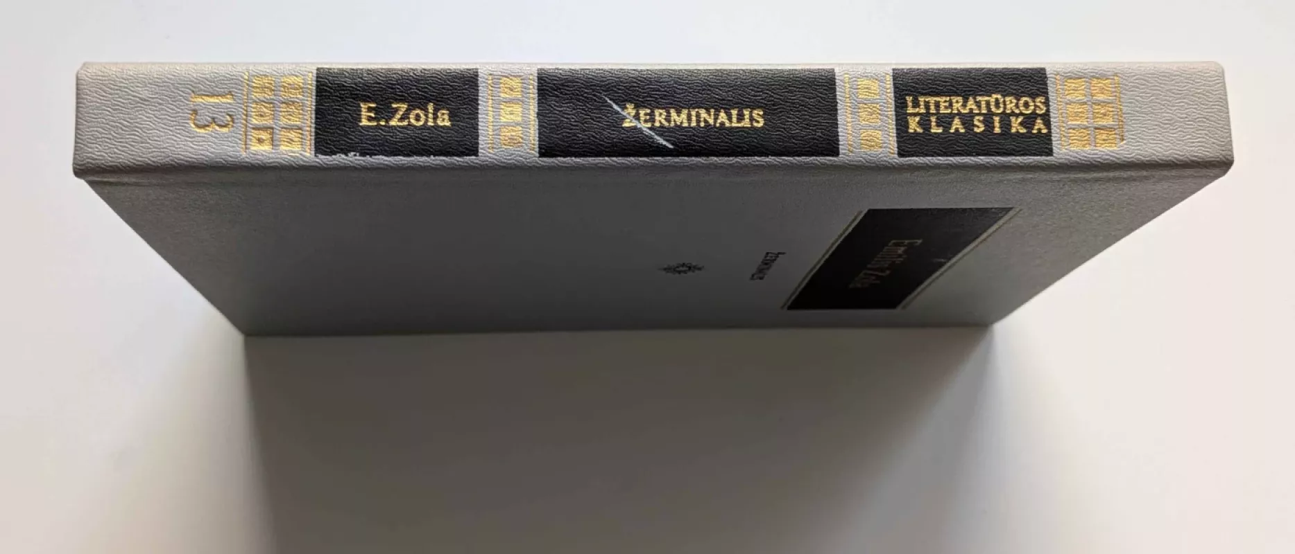 Žerminalis - Emilis Zola, knyga 5