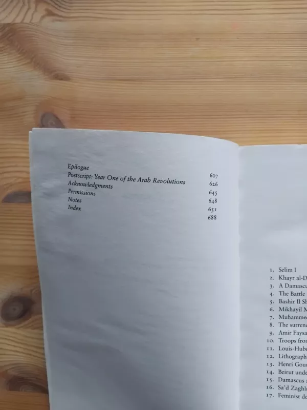 The Arabs: A History - Eugene Rogan, knyga 5