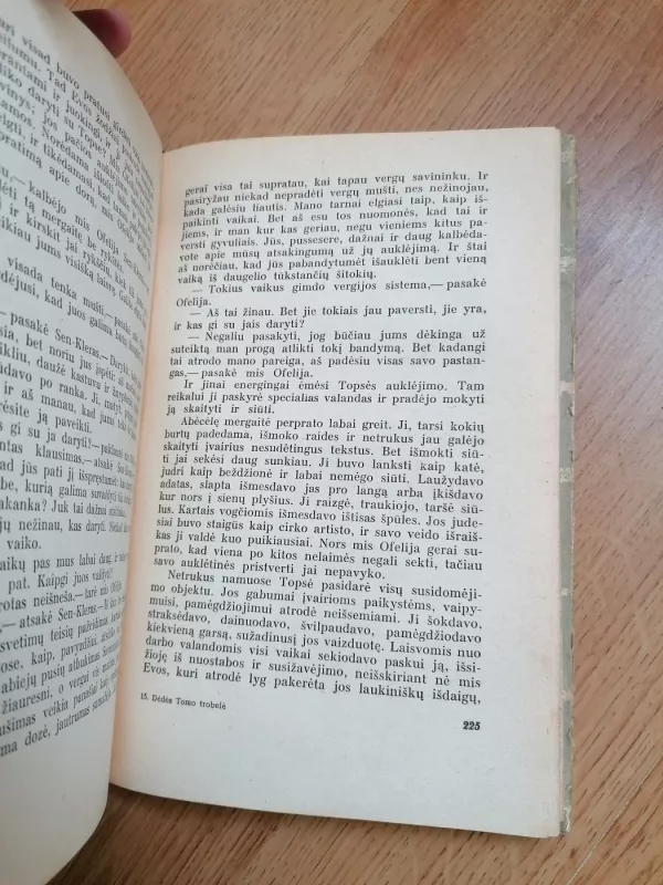 Dėdės Tomo trobelė - H. Bičer-Stou, knyga 6