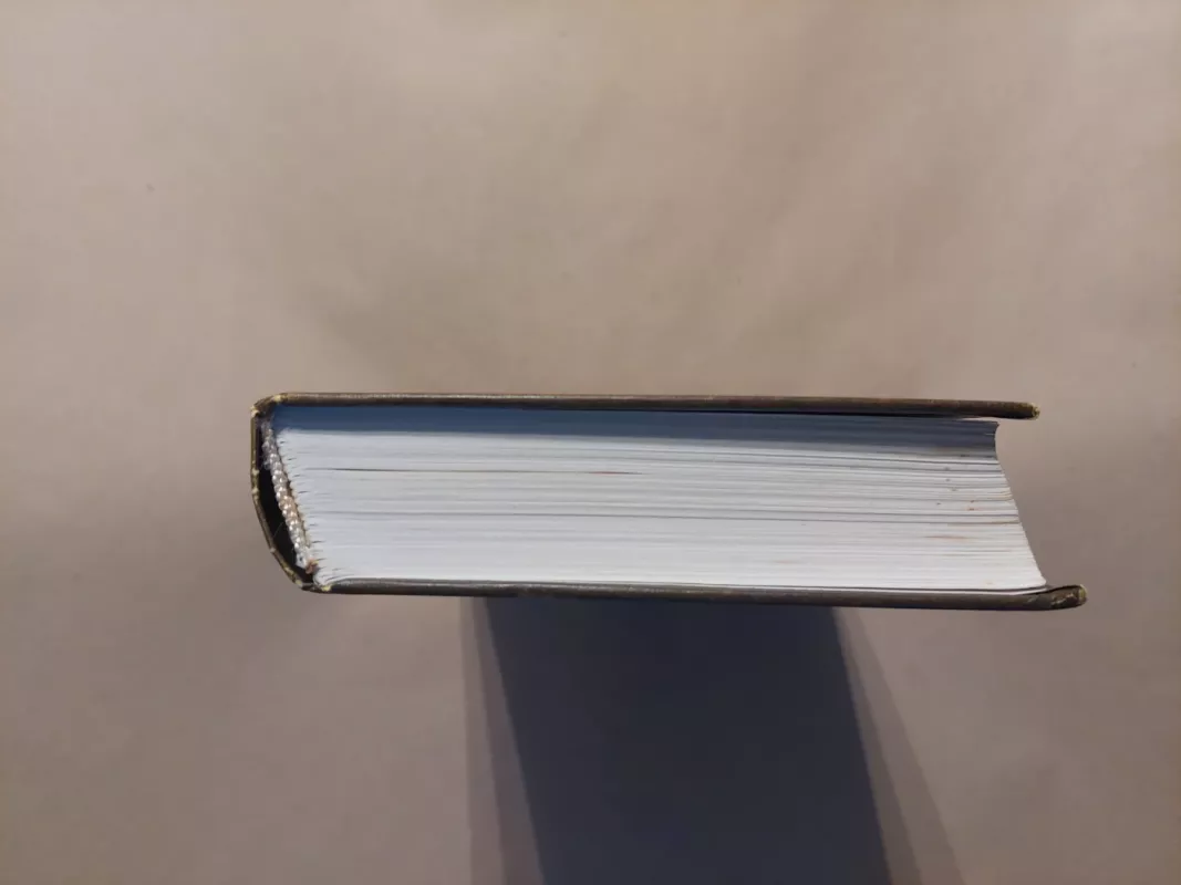 Demonai - F. M. Dostojevskij, knyga 3