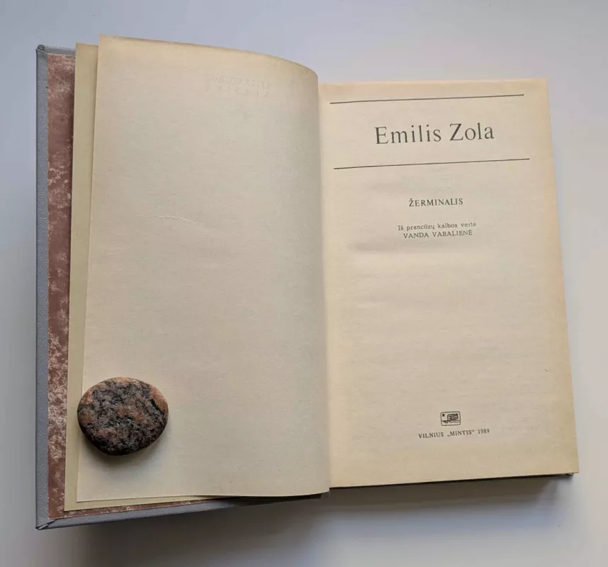 Žerminalis - Emilis Zola, knyga 4