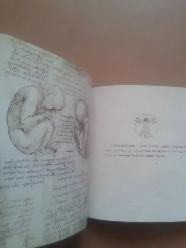 Septyni gyvenimo principai - Leonardas Da Vinčis, knyga 6