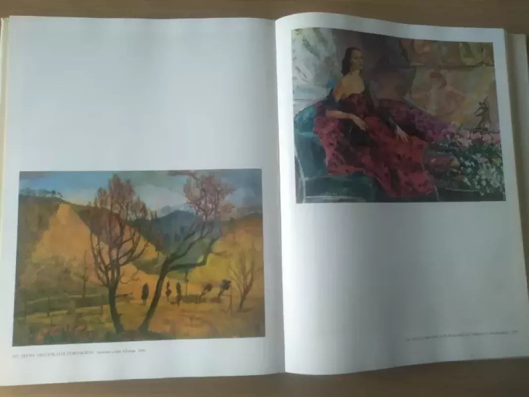 Lietuvos tapyba - tapyba Lietuvos, knyga 5