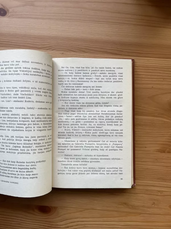 Juodoji galera - Vilhelmas Rabė, knyga 4