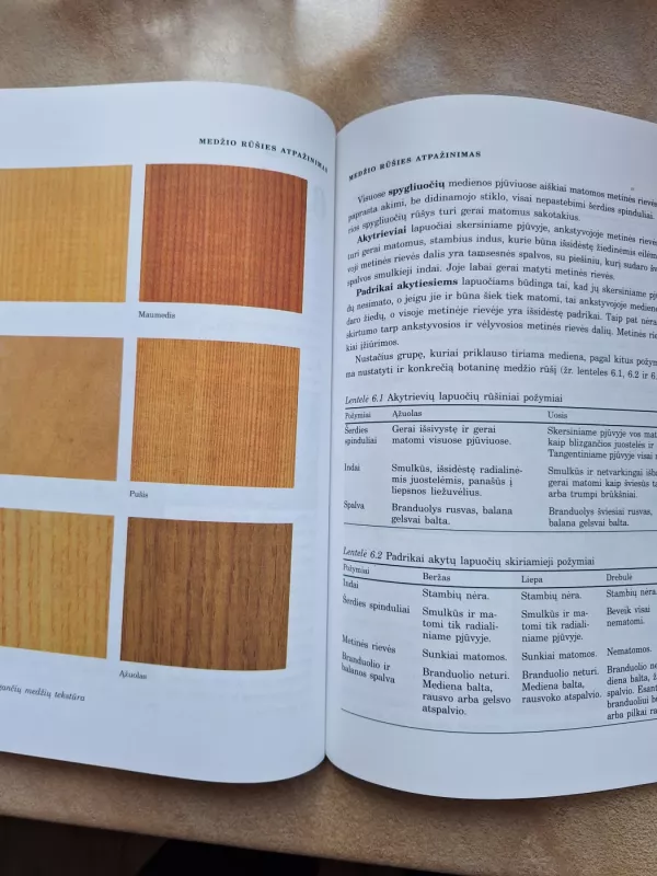 Medienos medžiagos - Antanas Morkevičius, knyga 5