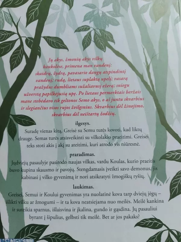 Laukimas - Maggie Siefvater, knyga 4