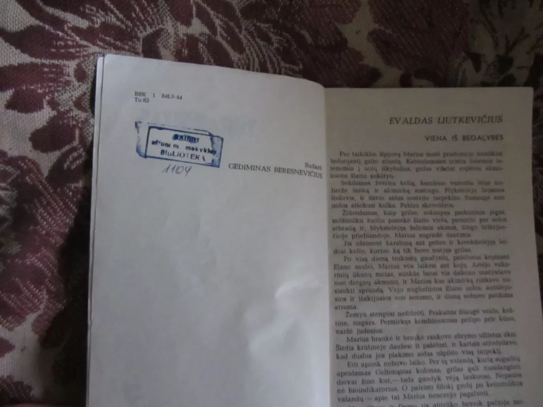 Turangitas - Gediminas Beresnevičius, knyga 3