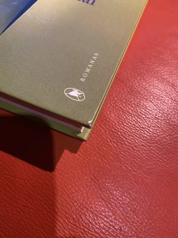 Gyvenk greitaiBrigitįe - Brigite Giraud, knyga 2